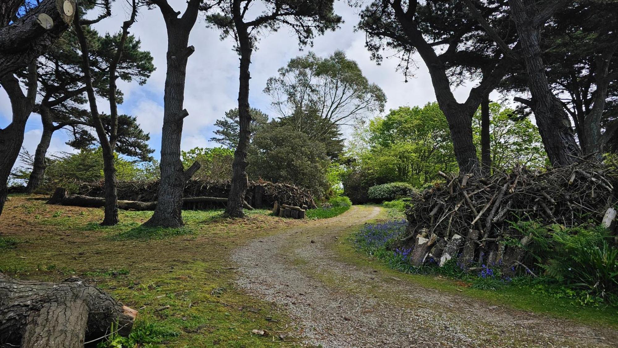 Ker Douara - Ile Callot Carantec Exterior foto