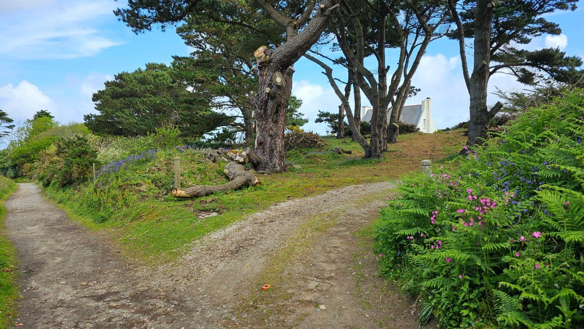Ker Douara - Ile Callot Carantec Exterior foto